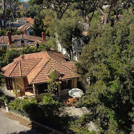 Exclusive Charming Villa - Free Parking 400 Mq Garden - Rome Airport - Roseto Villa Dream Fregenae Extérieur photo